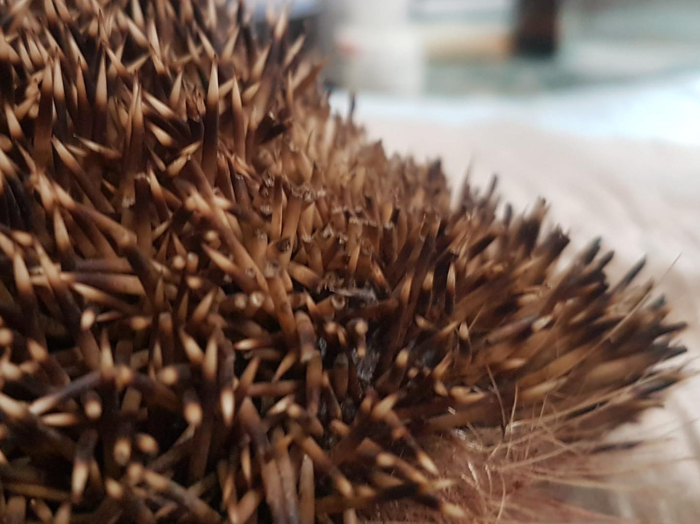 refugium29082021a