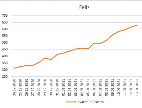 refugium13012021a