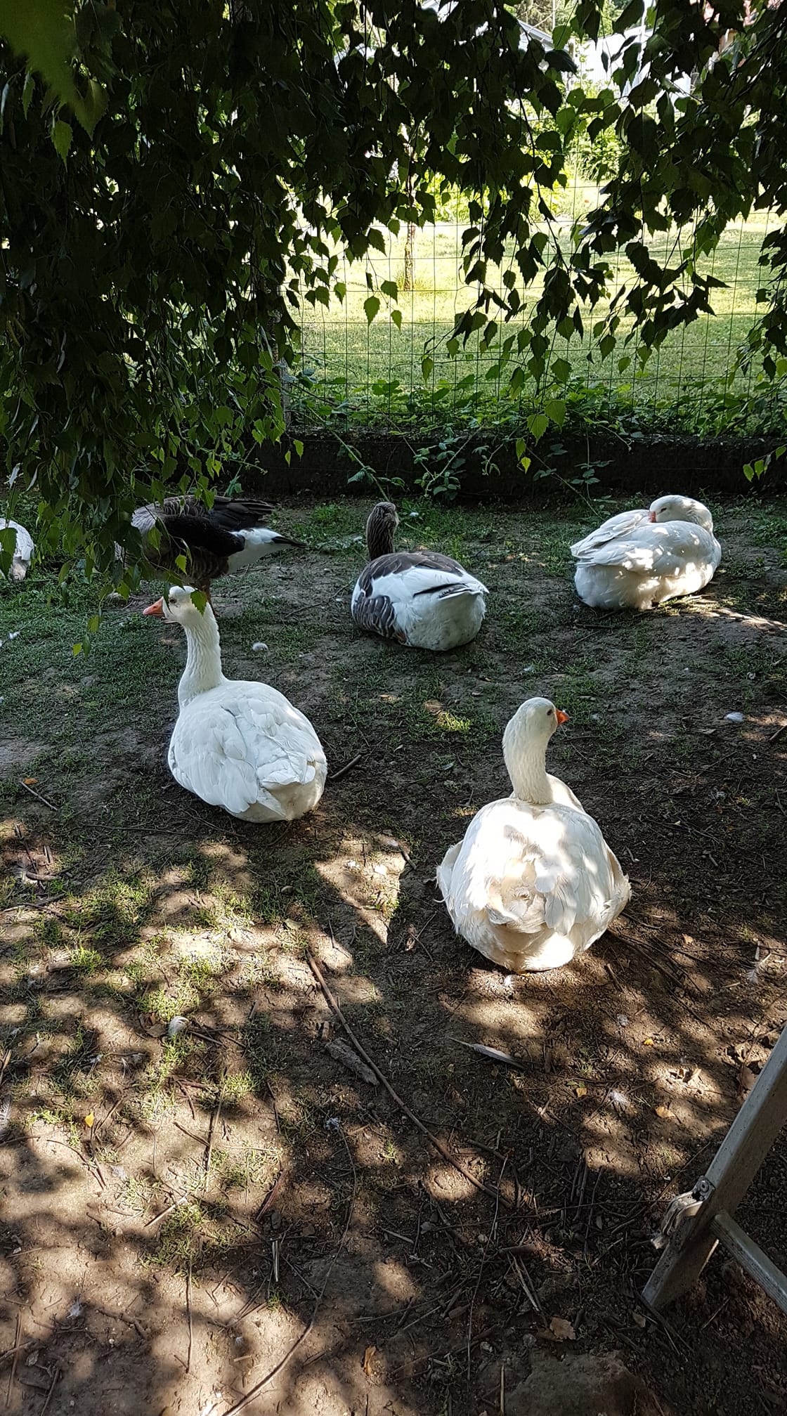 refugium28062021