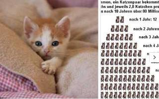 201701 kastrationshilfe