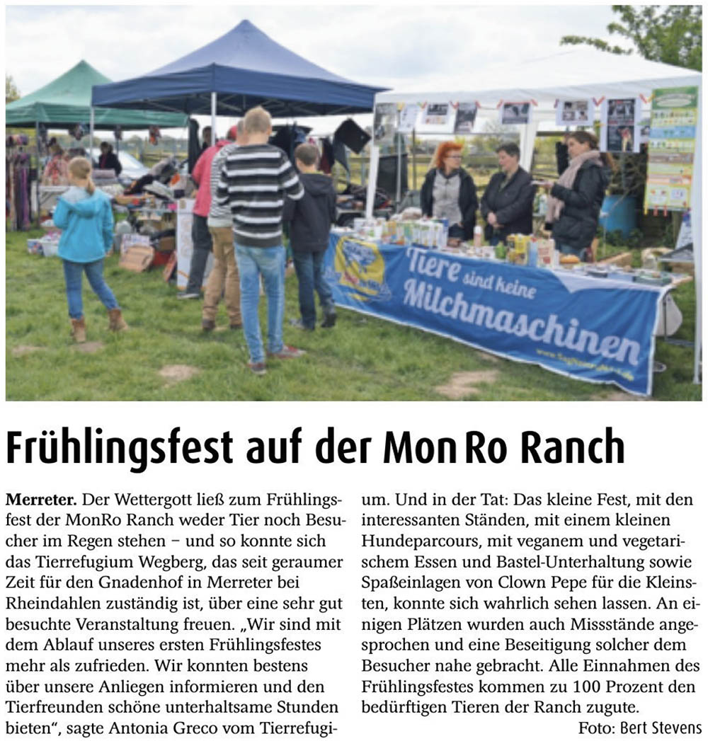 201705 Artikel Stadtspiegel