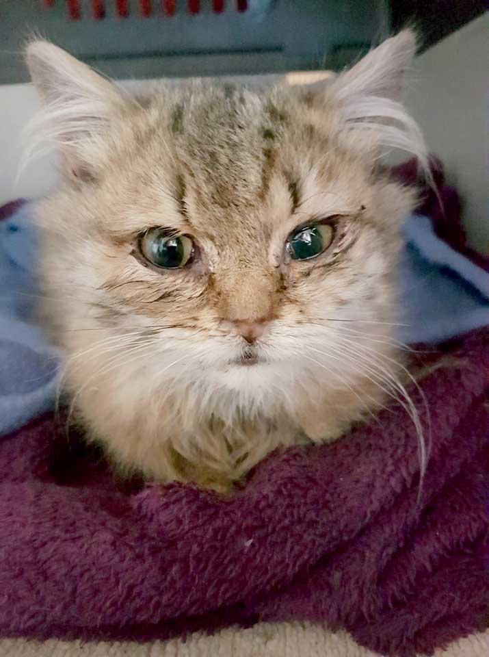 201803 Marley 1