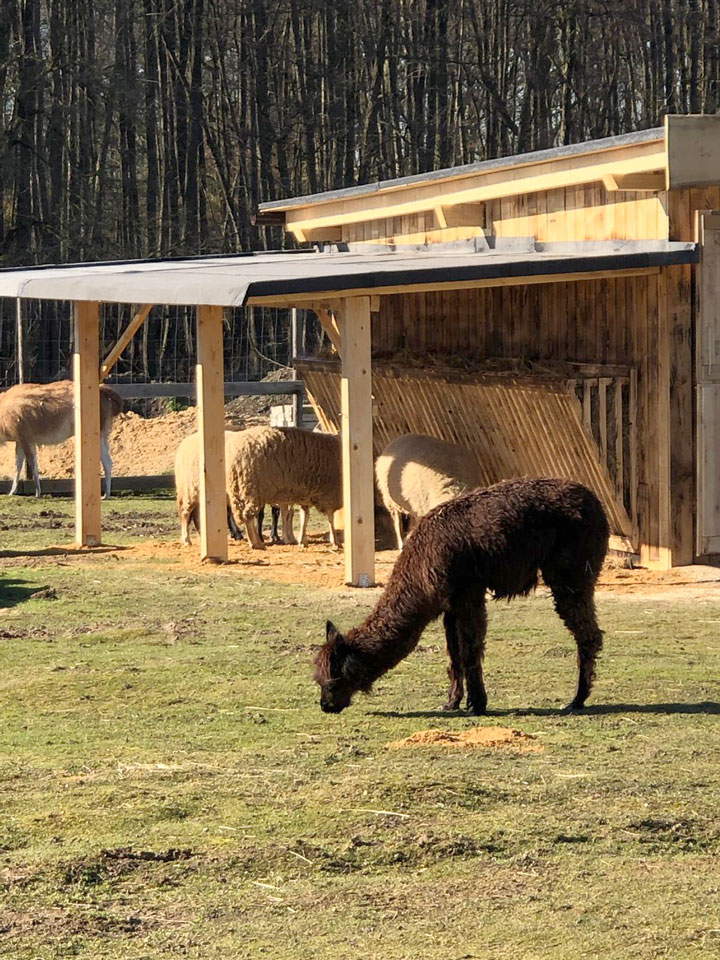 201902 Casa MonRo 1