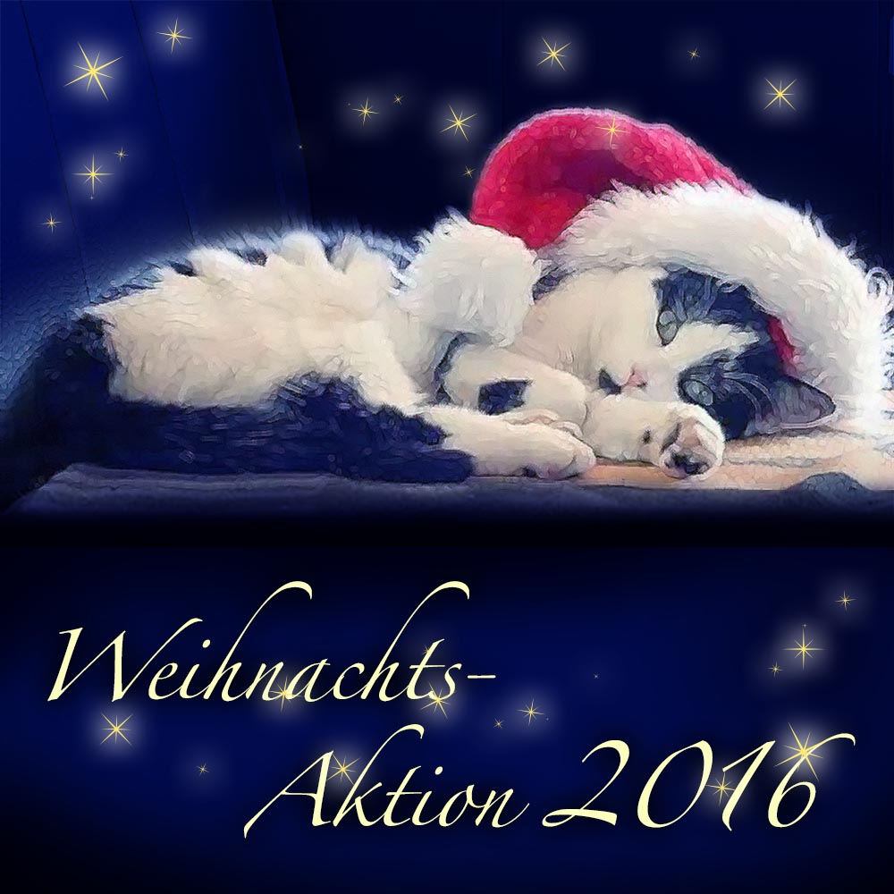 Weihnachtsaktion Romy