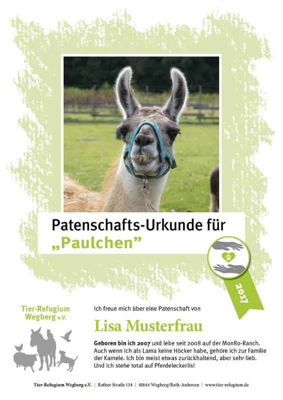 Patenschafts Urkunde Paul