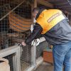 201801 Hornbach 1